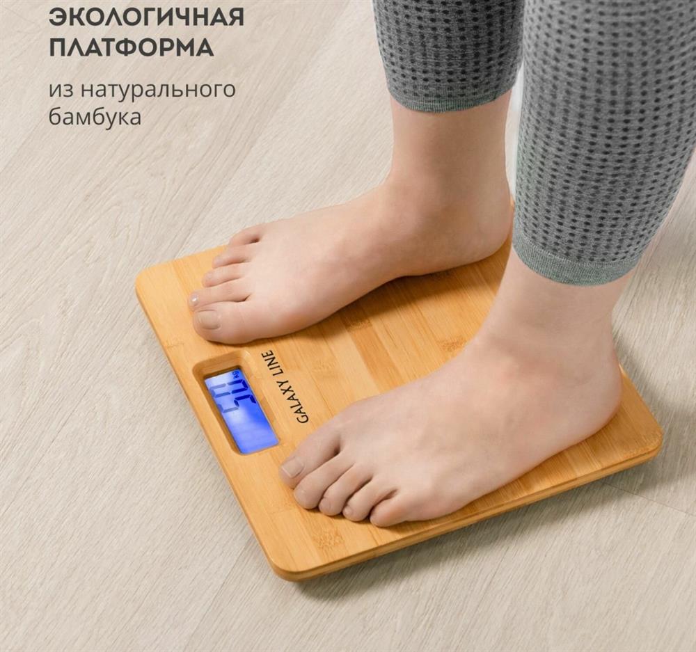 Весы "Galaxy" GL4820