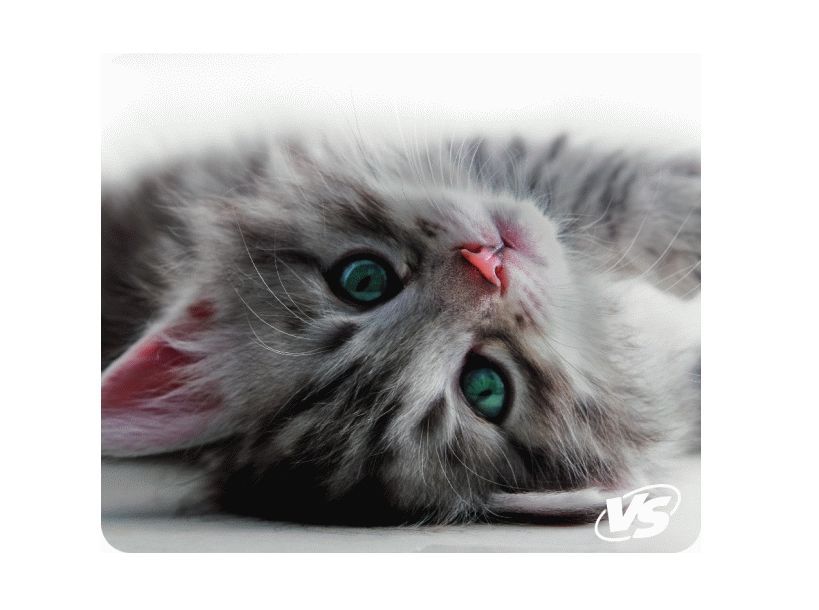 Коврик "VS" (VS_B4649) "Cat", Рис.5