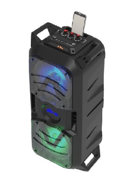 Портативный динамик "Ritmix" SP-875B Black