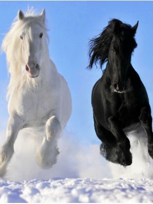 Обогреватель настенный "Дыхание тепла" Пегас 19с425