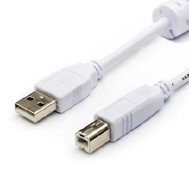 Кабель "Atcom" (AT3795) кабель USB 2.0 AM/BM - 1.8 м