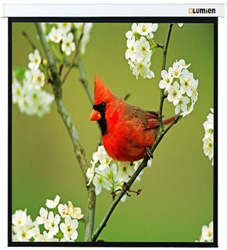 Экран "Lumien" 220x220см Master Picture LMP-100129 1:1