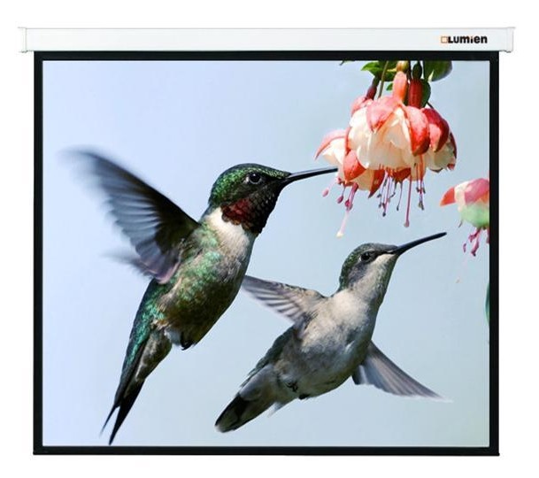 Экран "Lumien" 280x202см Master Picture LMP-100117 16:9