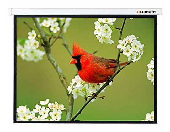 Экран "Lumien" 305x305см Master Picture LMP-100107 1:1