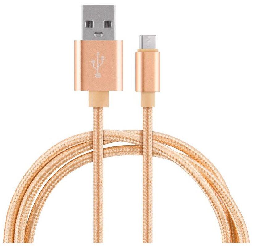 Кабель "ENERGY" ET-28 USB/Type-C, золотой